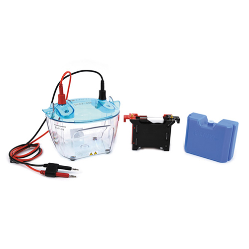 北京六一 DYCZ-40K 轉(zhuǎn)印電泳儀